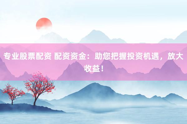 专业股票配资 配资资金：助您把握投资机遇，放大收益！