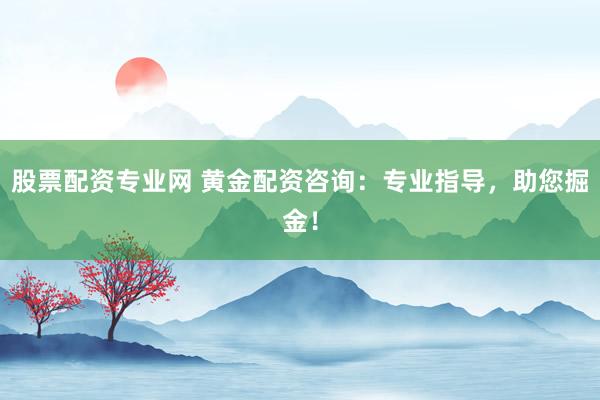 股票配资专业网 黄金配资咨询：专业指导，助您掘金！