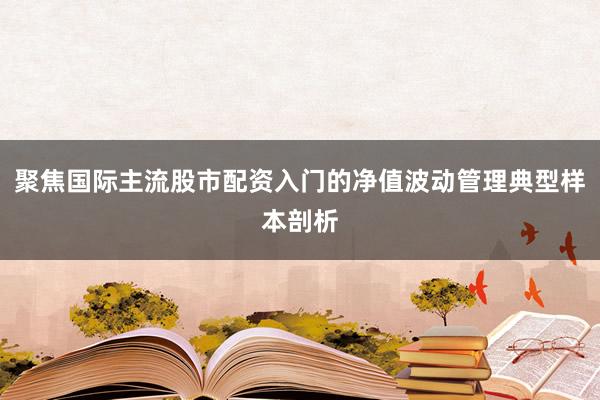 聚焦国际主流股市配资入门的净值波动管理典型样本剖析
